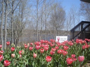 Annie Santerre Memorial Garden Annie Santerre Memorial Garden
