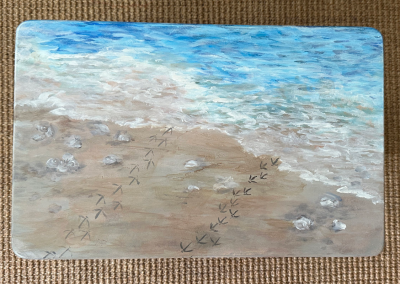 Shore Birds by Janie Snider