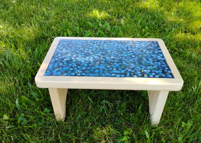 Blueberry Harvest by Jillian