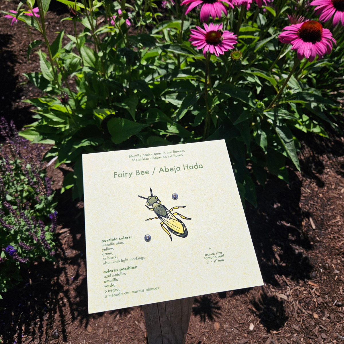 interpretive bee signs