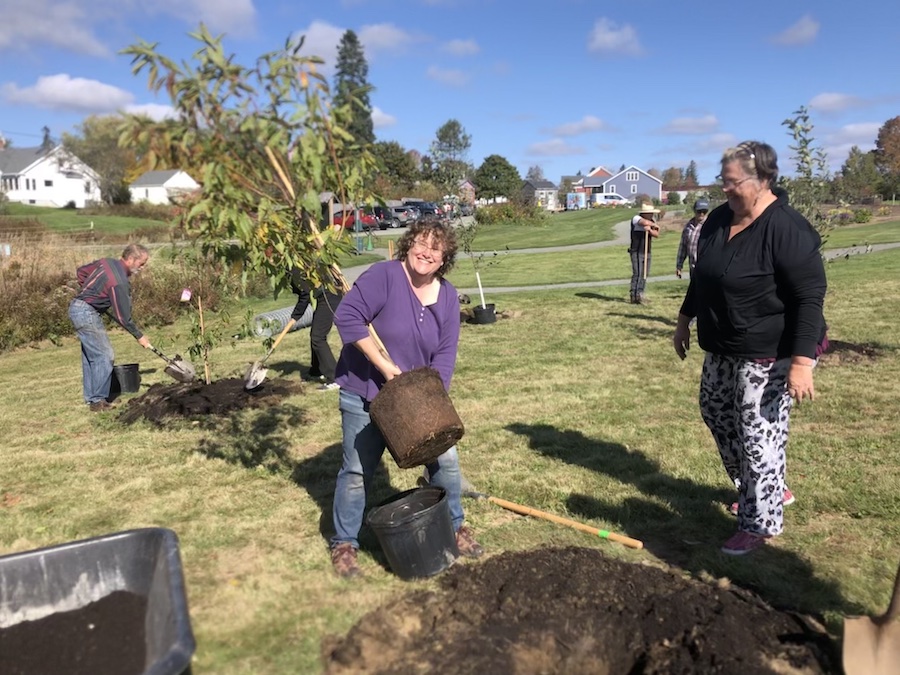 Volunteers planting a tree