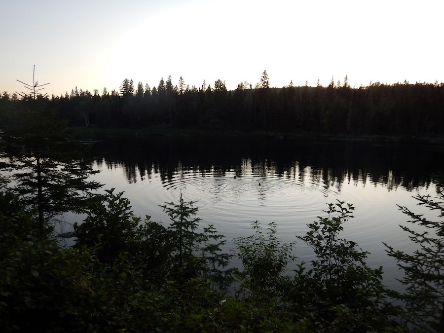 Making “Scents” in the Outdoors: Hygiene Tips