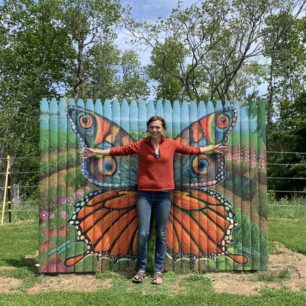 Butterfly Wall