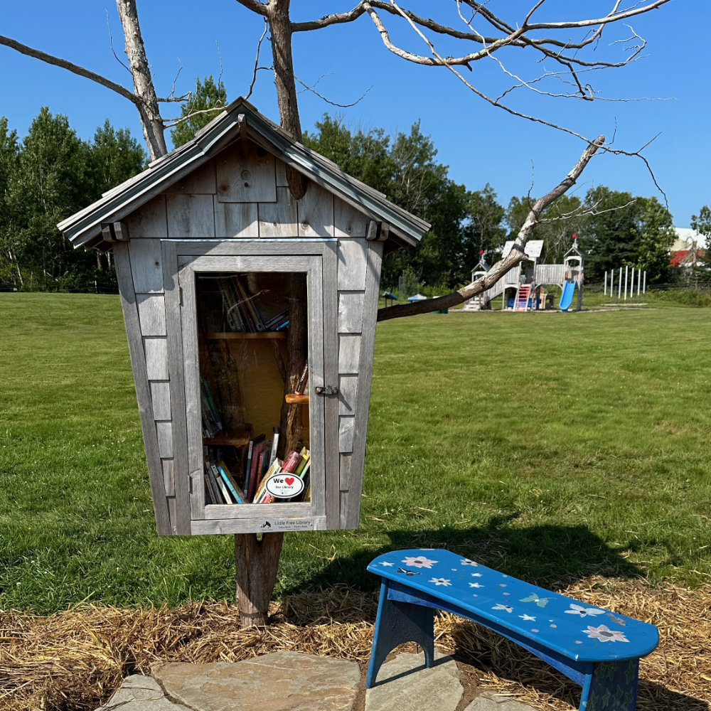 Children's Little Library